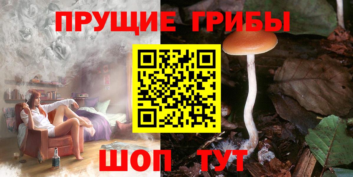 Галлюциногенные грибы Psilocybe Воронеж