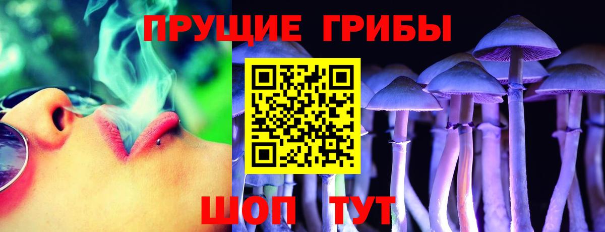 Псилоцибиновые грибы прущие грибы  Псилоцибиновые грибы ЛСД  Вход с VPN  Воронеж 